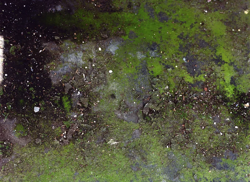 untitled, from <grace and gravity> series, 2009, c-print