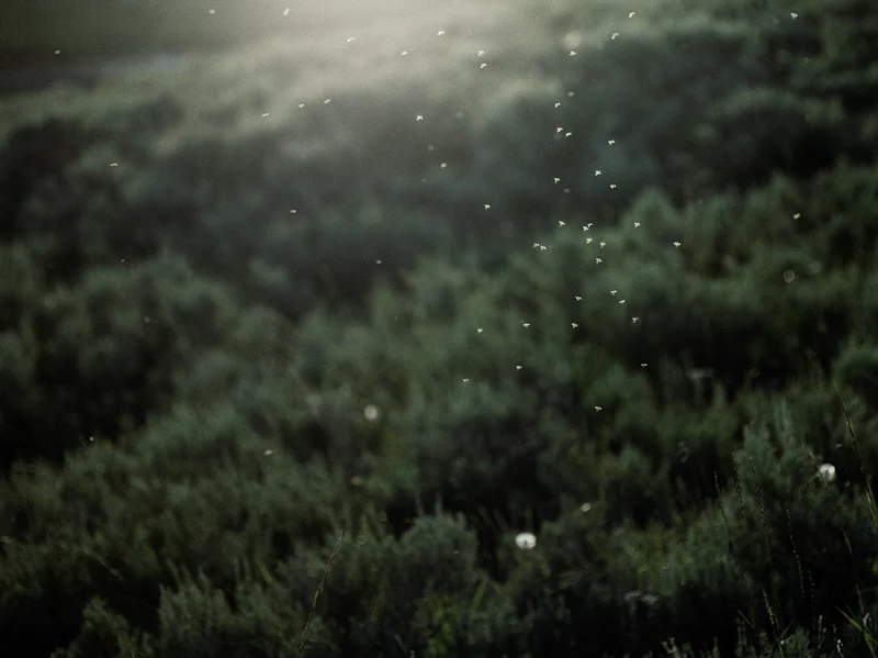 untitled, from <grace and gravity> series, 2009, c-print