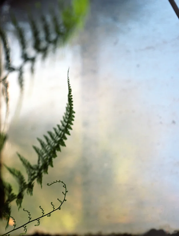 untitled, from <grace and gravity> series, 2009, c-print