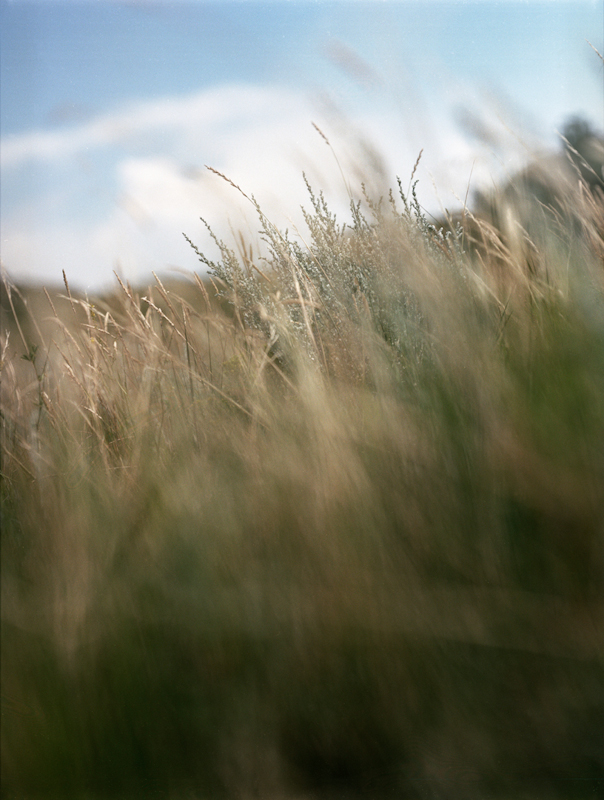 untitled, from <grace and gravity> series, 2009, c-print