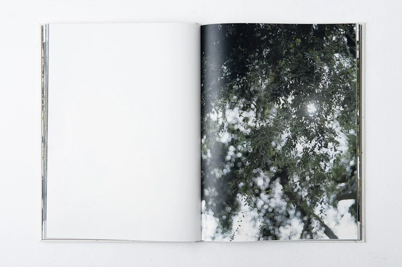 Grace and Gravity , 2013, 137pages, 26 x 35 cm, Datz Press, Limited edition