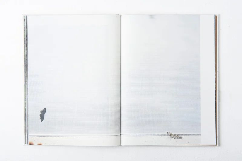 Grace and Gravity , 2013, 137pages, 26 x 35 cm, Datz Press, Limited edition