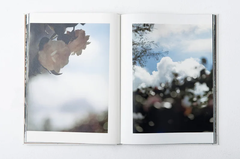 Grace and Gravity , 2013, 137pages, 26 x 35 cm, Datz Press, Limited edition