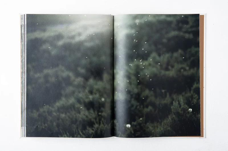 Grace and Gravity , 2013, 137pages, 26 x 35 cm, Datz Press, Limited edition