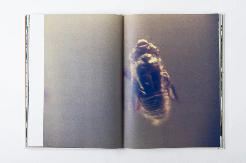 Grace and Gravity , 2013, 137pages, 26 x 35 cm, Datz Press, Limited edition