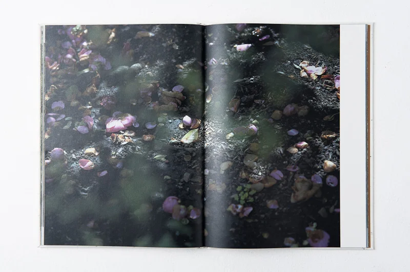 Grace and Gravity , 2013, 137pages, 26 x 35 cm, Datz Press, Limited edition