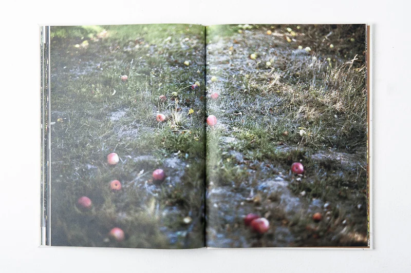 Grace and Gravity , 2013, 137pages, 26 x 35 cm, Datz Press, Limited edition