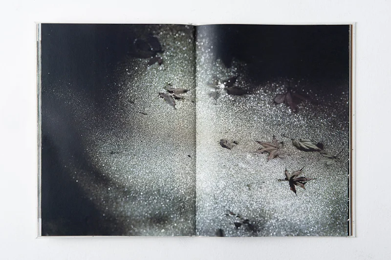Grace and Gravity , 2013, 137pages, 26 x 35 cm, Datz Press, Limited edition
