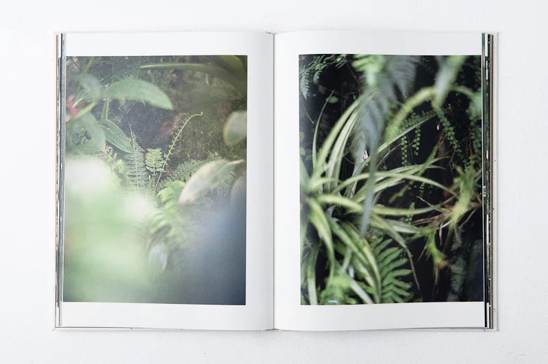 Grace and Gravity , 2013, 137pages, 26 x 35 cm, Datz Press, Limited edition