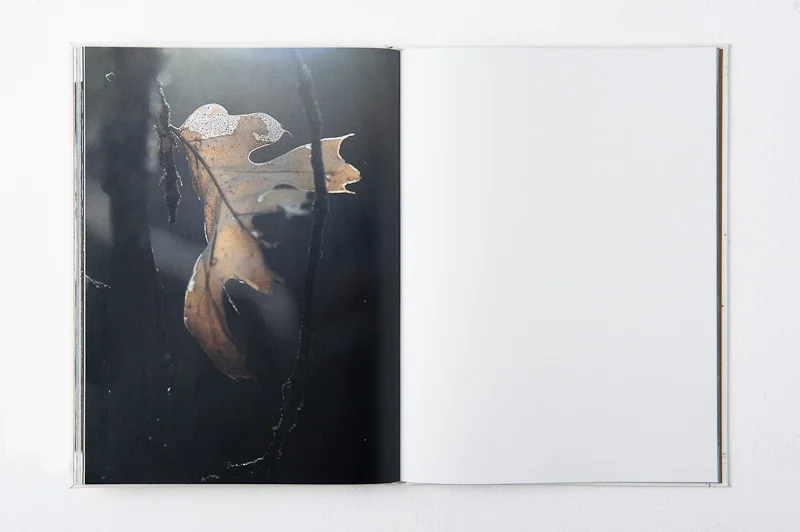 Grace and Gravity , 2013, 137pages, 26 x 35 cm, Datz Press, Limited edition