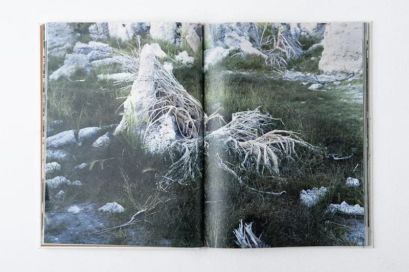 Grace and Gravity , 2013, 137pages, 26 x 35 cm, Datz Press, Limited edition