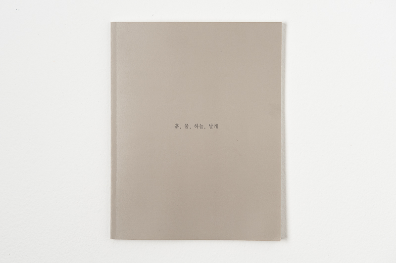   Earth, Water, Air, Wing , 2000, 46 pages, 20 x 25.5 cm, Limited edition 