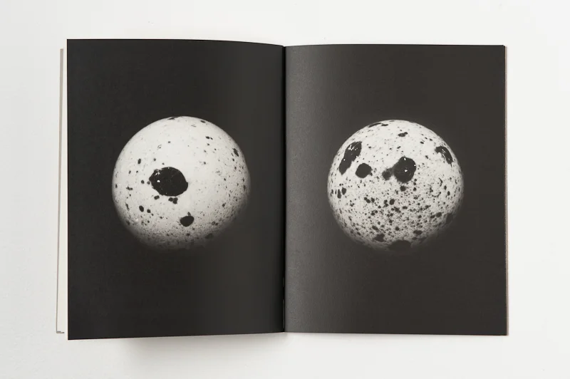   Earth, Water, Air, Wing , 2000, 46 pages, 20 x 25.5 cm, Limited edition 