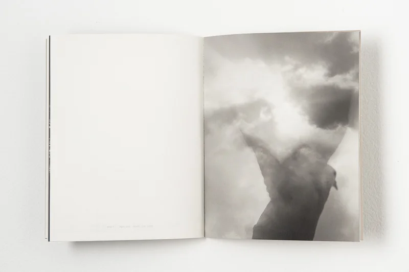   Earth, Water, Air, Wing , 2000, 46 pages, 20 x 25.5 cm, Limited edition 