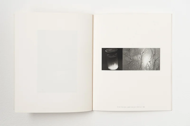   Thoughts on Intangible , 1999, 34 pages, 20 x 24 cm, Limited edition 