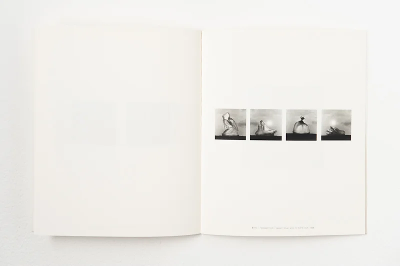   Thoughts on Intangible , 1999, 34 pages, 20 x 24 cm, Limited edition 