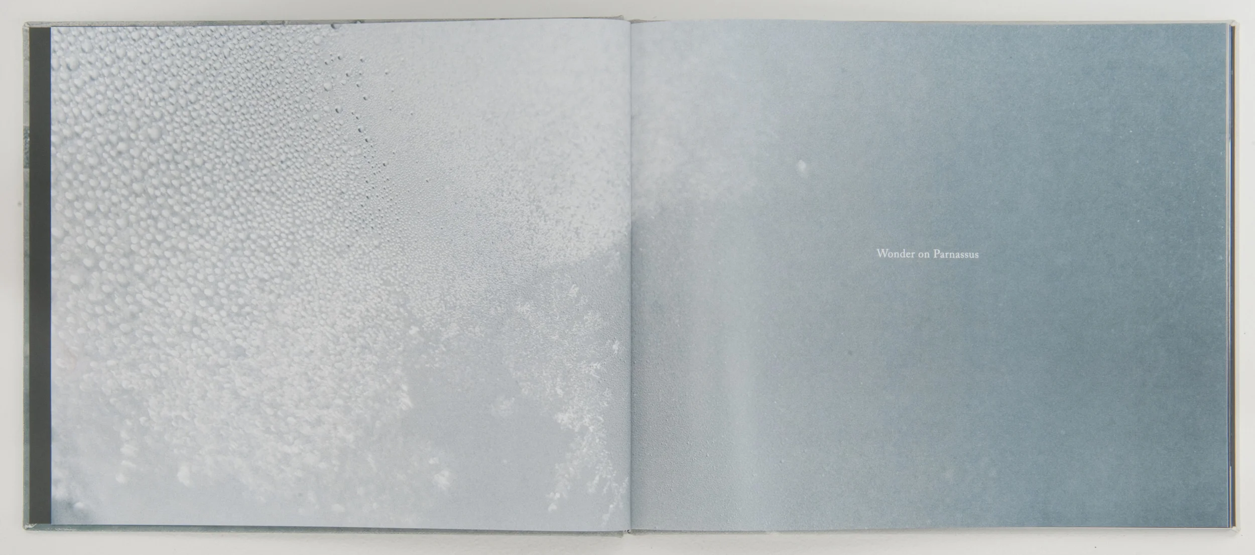   Wonder on Parnassus , 2007, 64 pages, 31 x 26 cm, Limited edition 