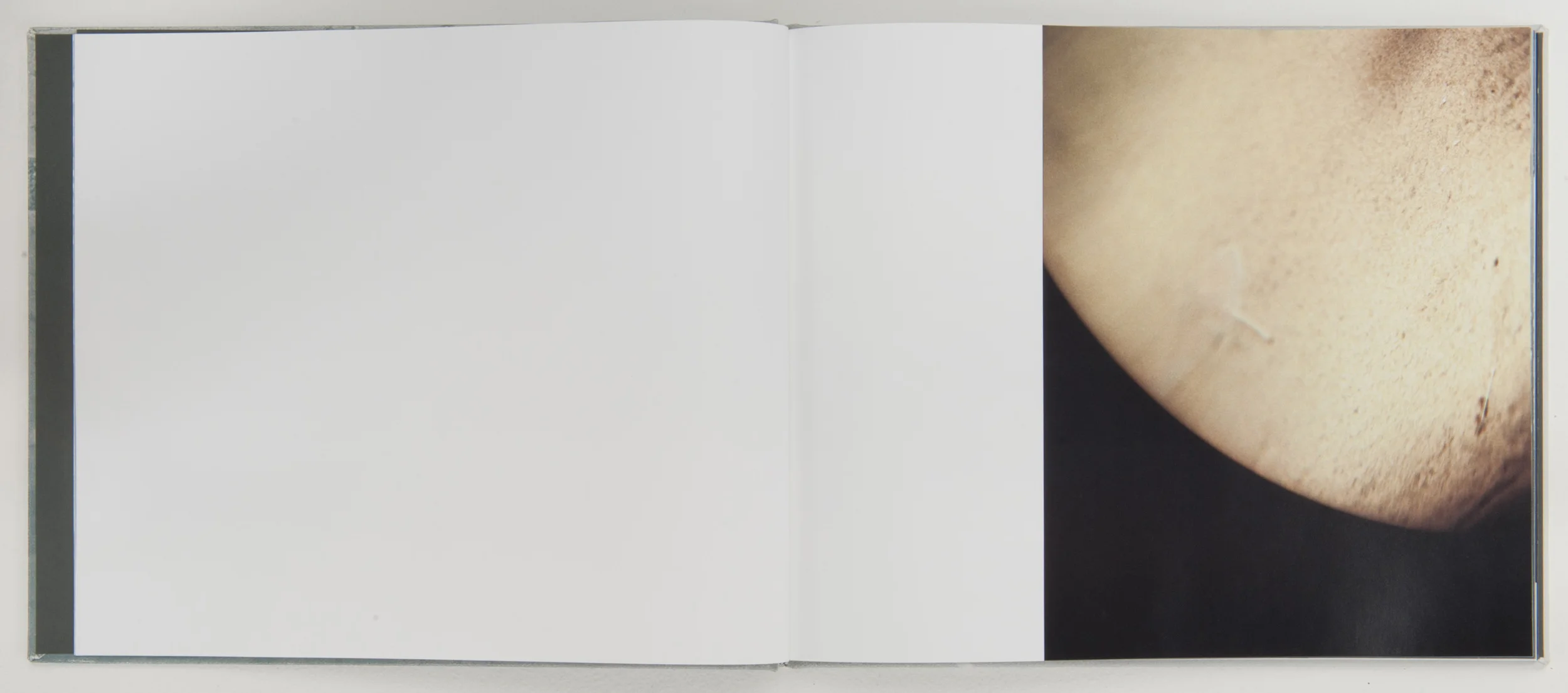   Wonder on Parnassus , 2007, 64 pages, 31 x 26 cm, Limited edition 