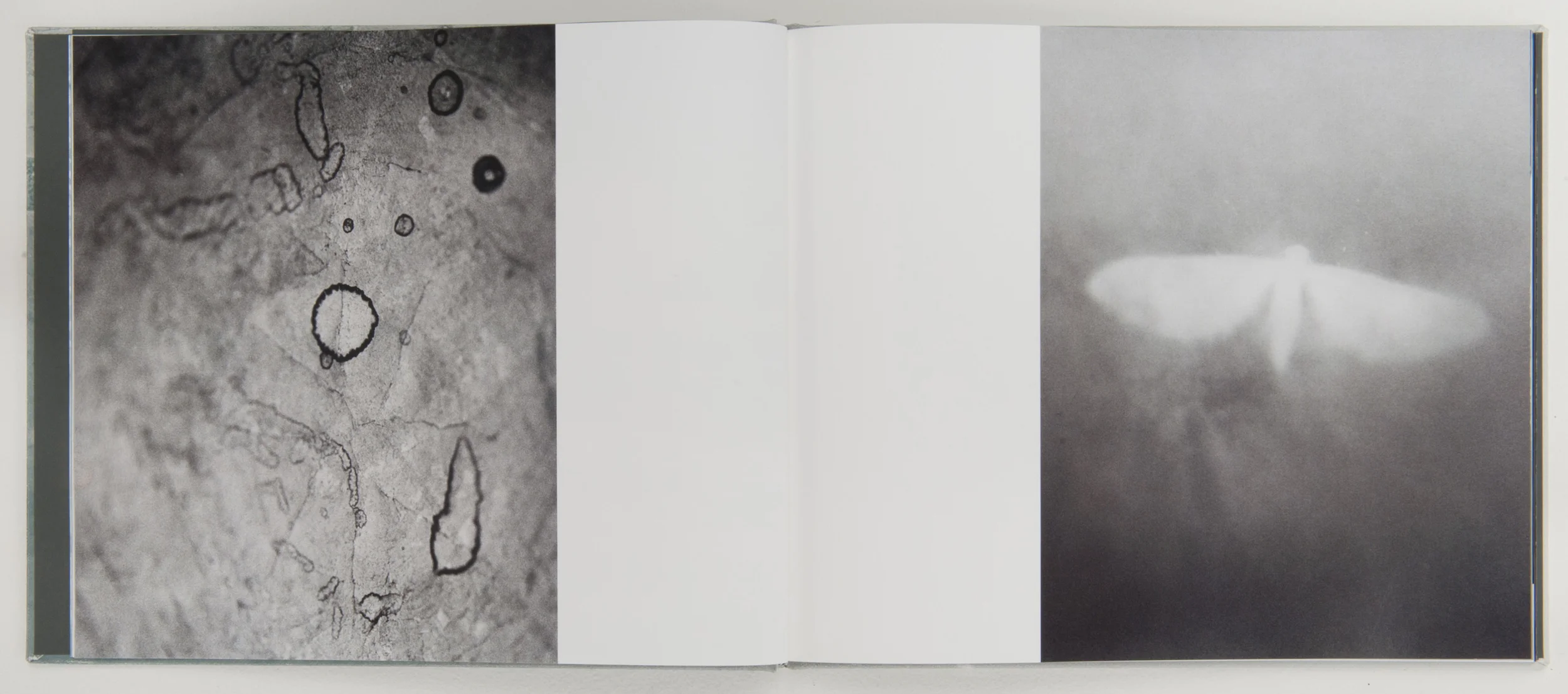   Wonder on Parnassus , 2007, 64 pages, 31 x 26 cm, Limited edition 