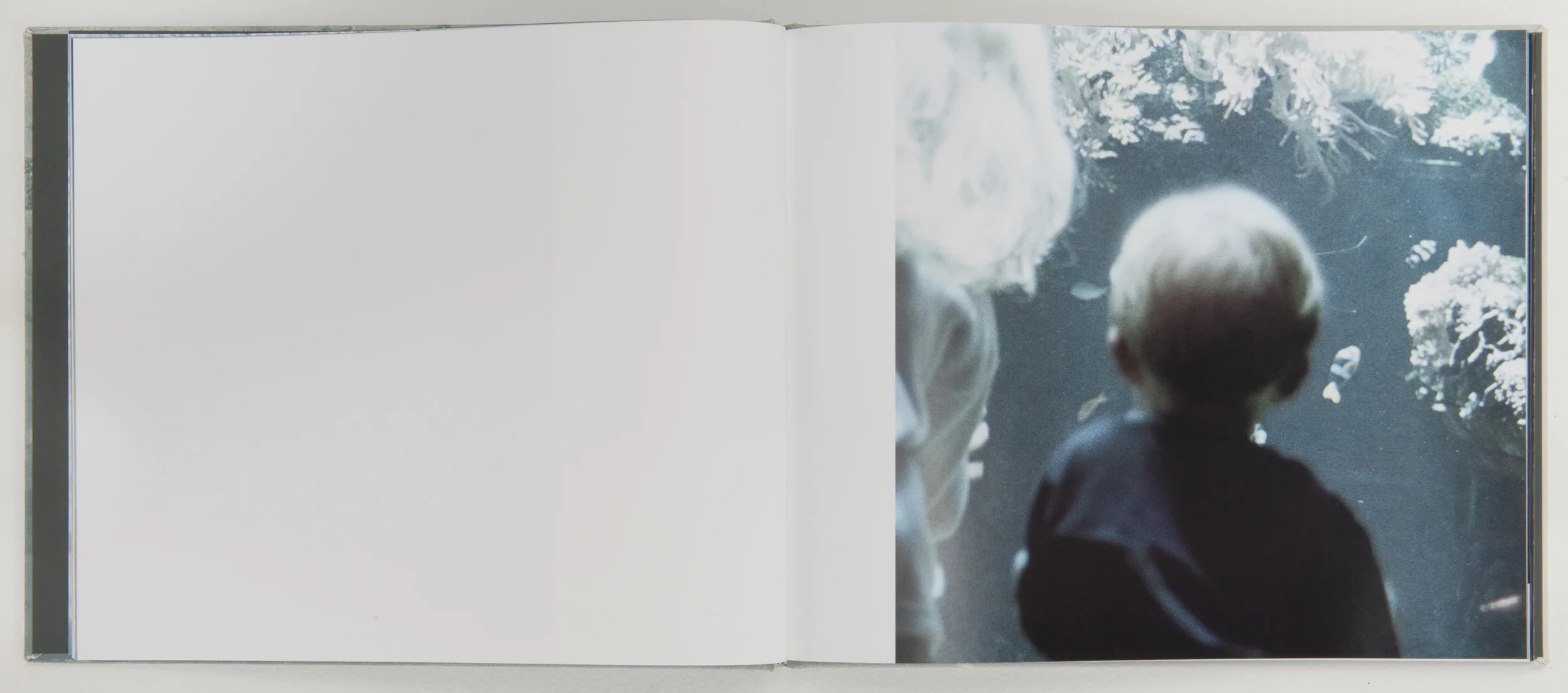   Wonder on Parnassus , 2007, 64 pages, 31 x 26 cm, Limited edition 