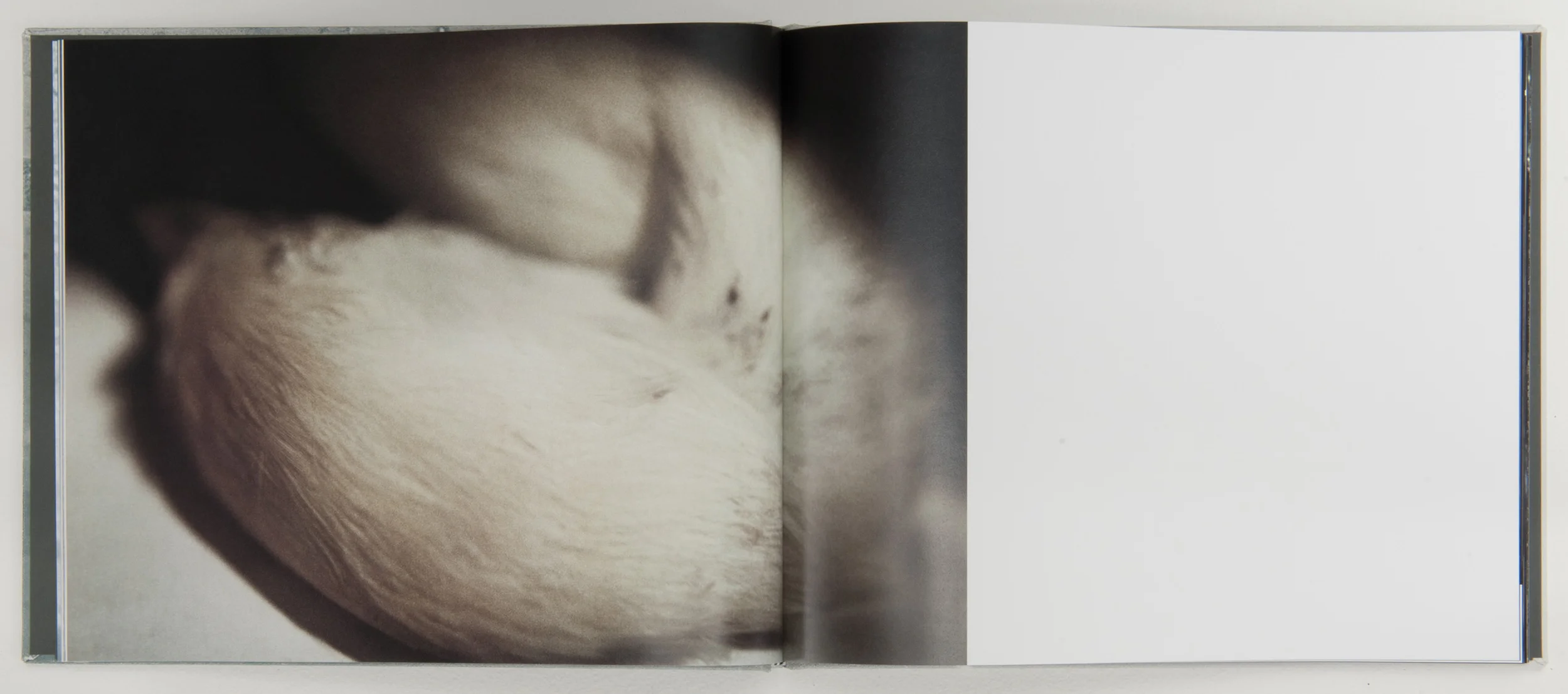   Wonder on Parnassus , 2007, 64 pages, 31 x 26 cm, Limited edition 
