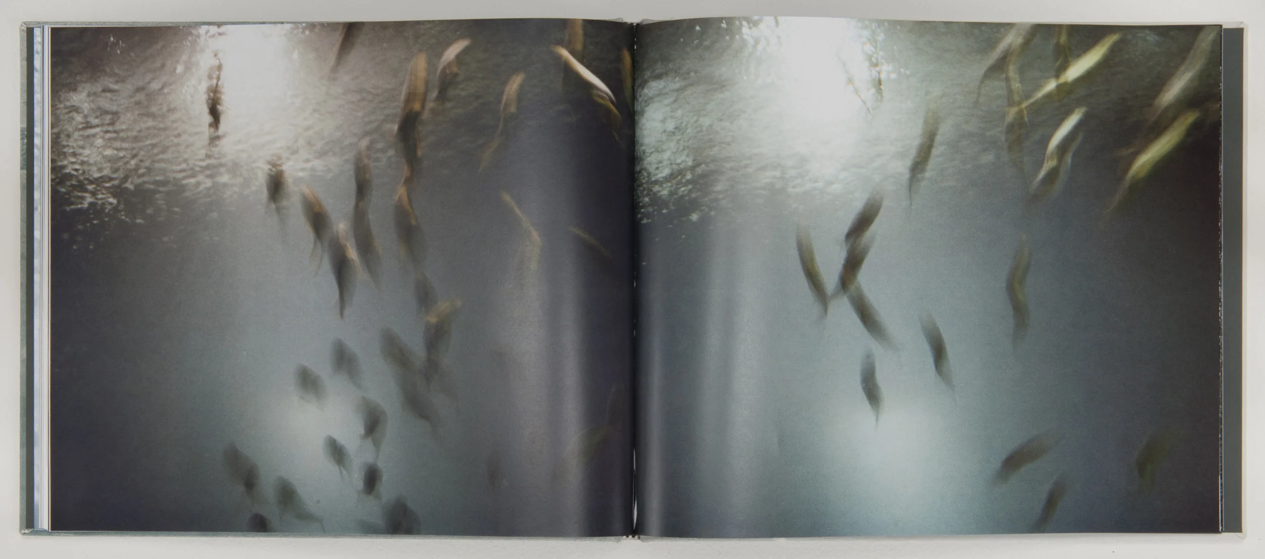   Wonder on Parnassus , 2007, 64 pages, 31 x 26 cm, Limited edition       