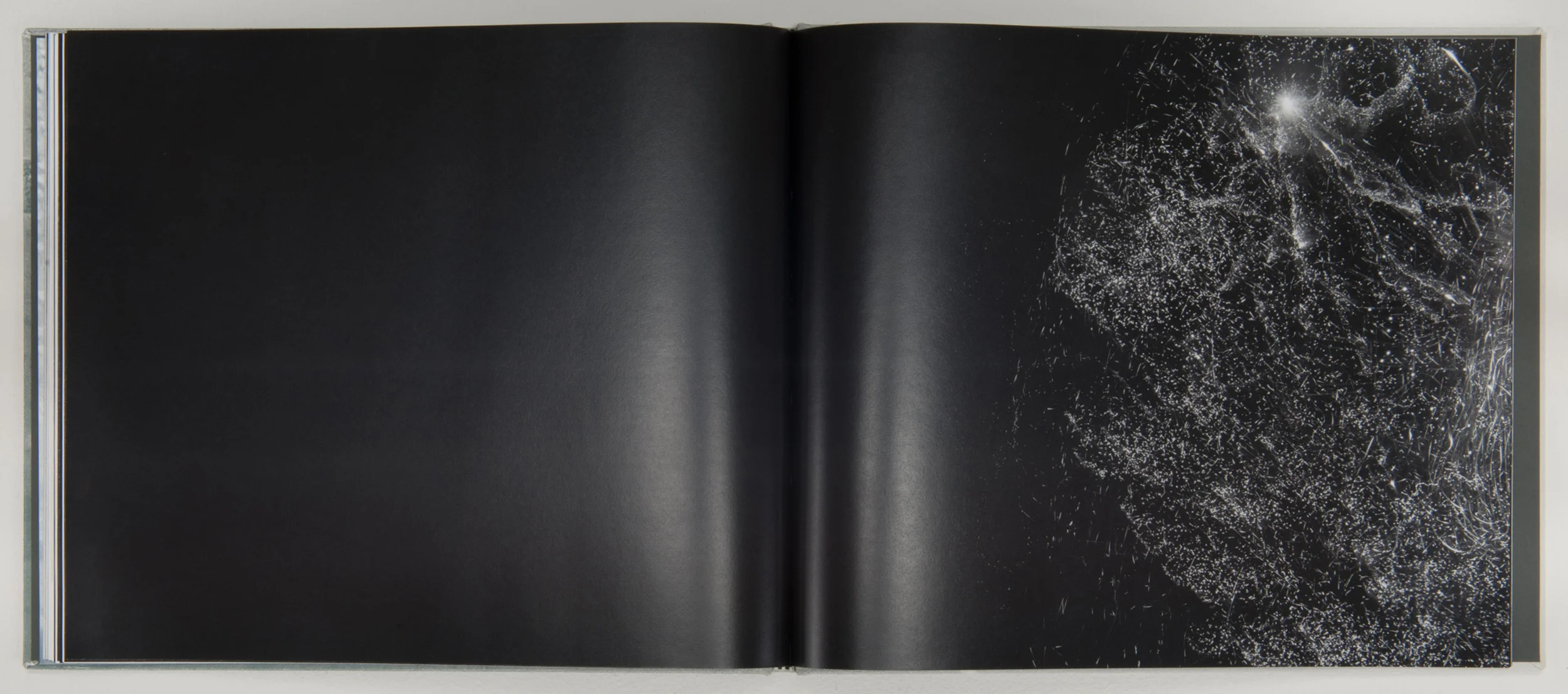   Wonder on Parnassus , 2007, 64 pages, 31 x 26 cm, Limited edition 