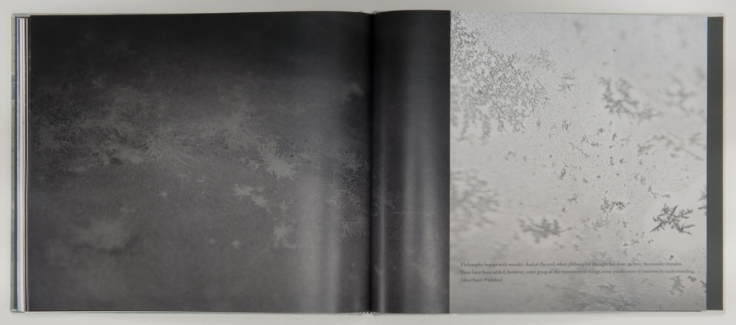   Wonder on Parnassus , 2007, 64 pages, 31 x 26 cm, Limited edition 