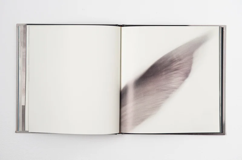   Walks on Water , 2004, 76 pages, 22 x 23 cm, Noonbit, ISBN 9788974090364 