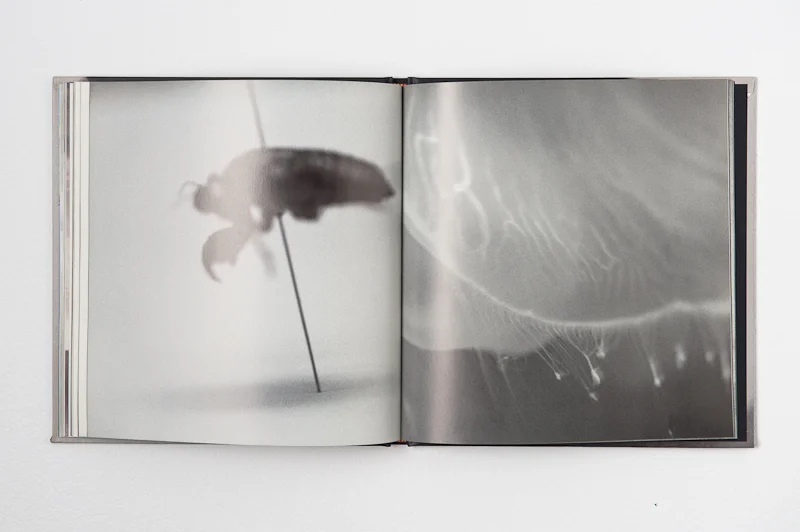   Walks on Water , 2004, 76 pages, 22 x 23 cm, Noonbit, ISBN 9788974090364 