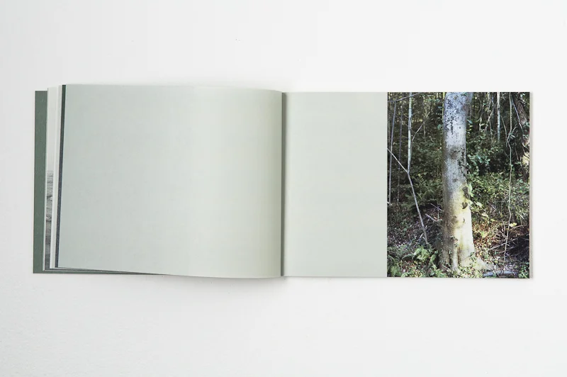   Light on Ground , 2013,&nbsp; 52 pages,&nbsp; 25 x 18 cm, Datz Press, Limited edition          