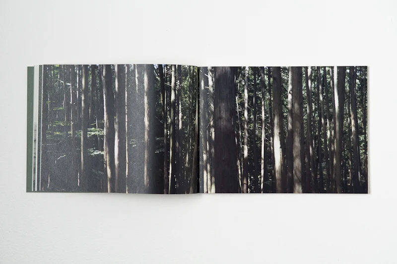  Light on Ground , 2013,&nbsp; 52 pages,&nbsp; 25 x 18 cm, Datz Press, Limited edition          