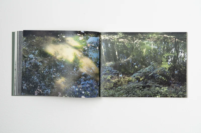   Light on Ground , 2013,&nbsp; 52 pages,&nbsp; 25 x 18 cm, Datz Press, Limited edition          