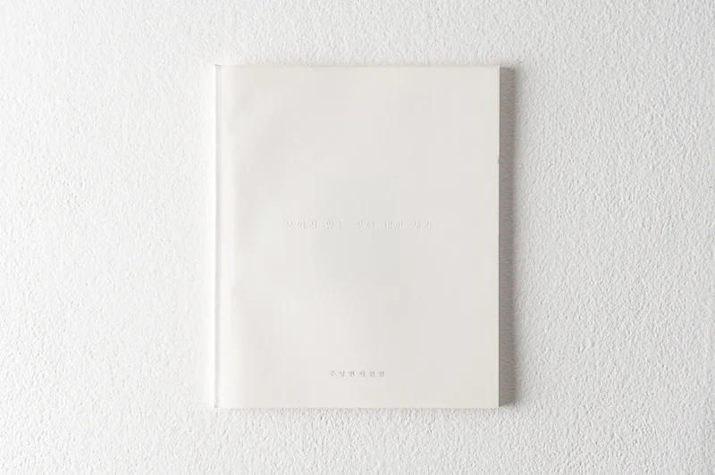   Thoughts on Intangible , 1999, 34 pages, 20 x 24 cm, Limited edition 