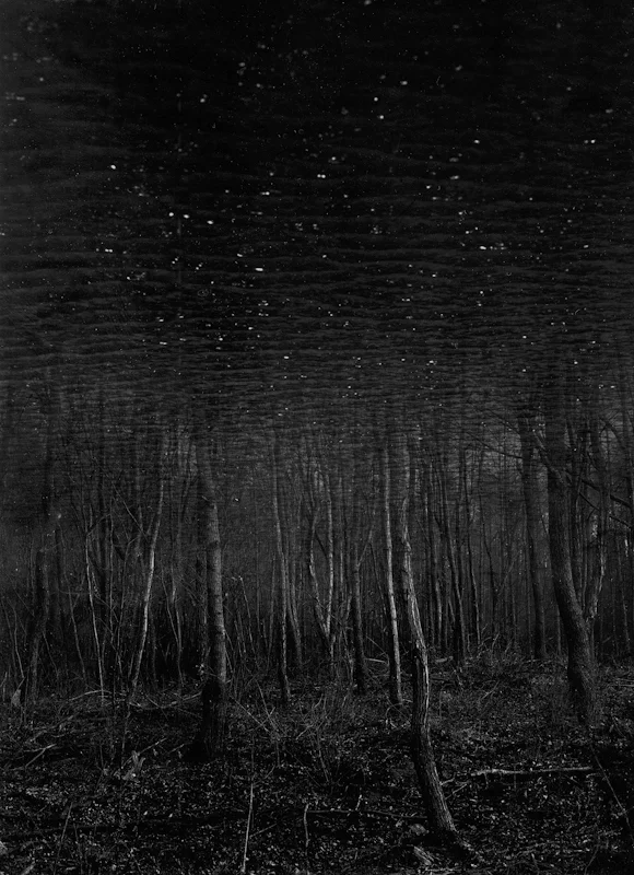  earth bound -2, 2000, gelatin silver print, 20x24 inch 