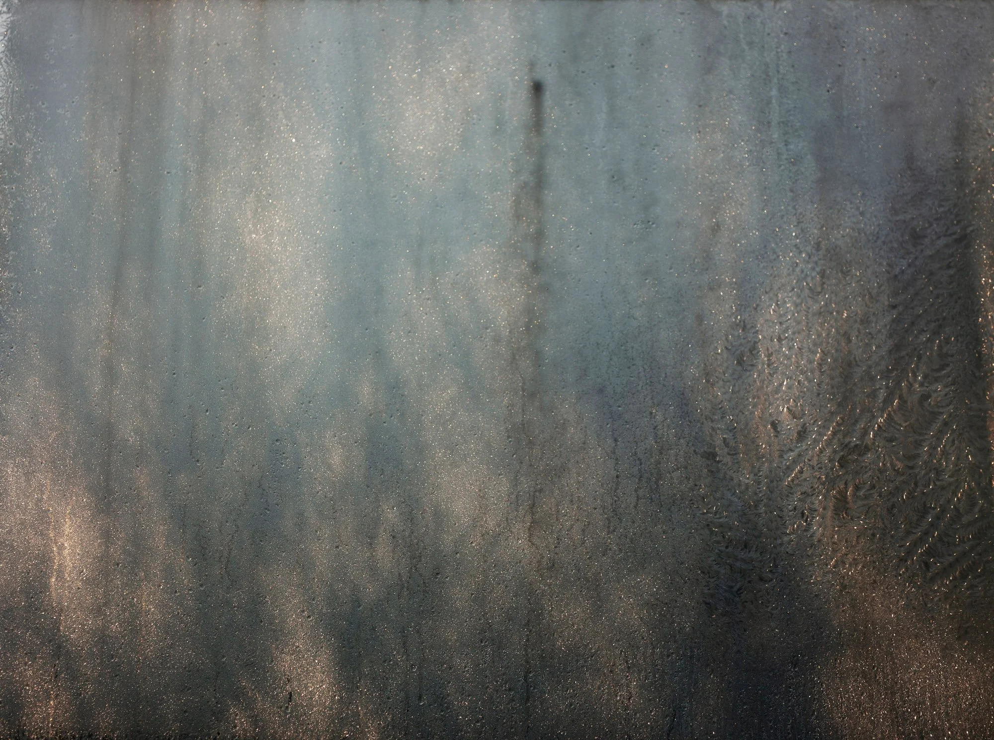 CF043264.jpg