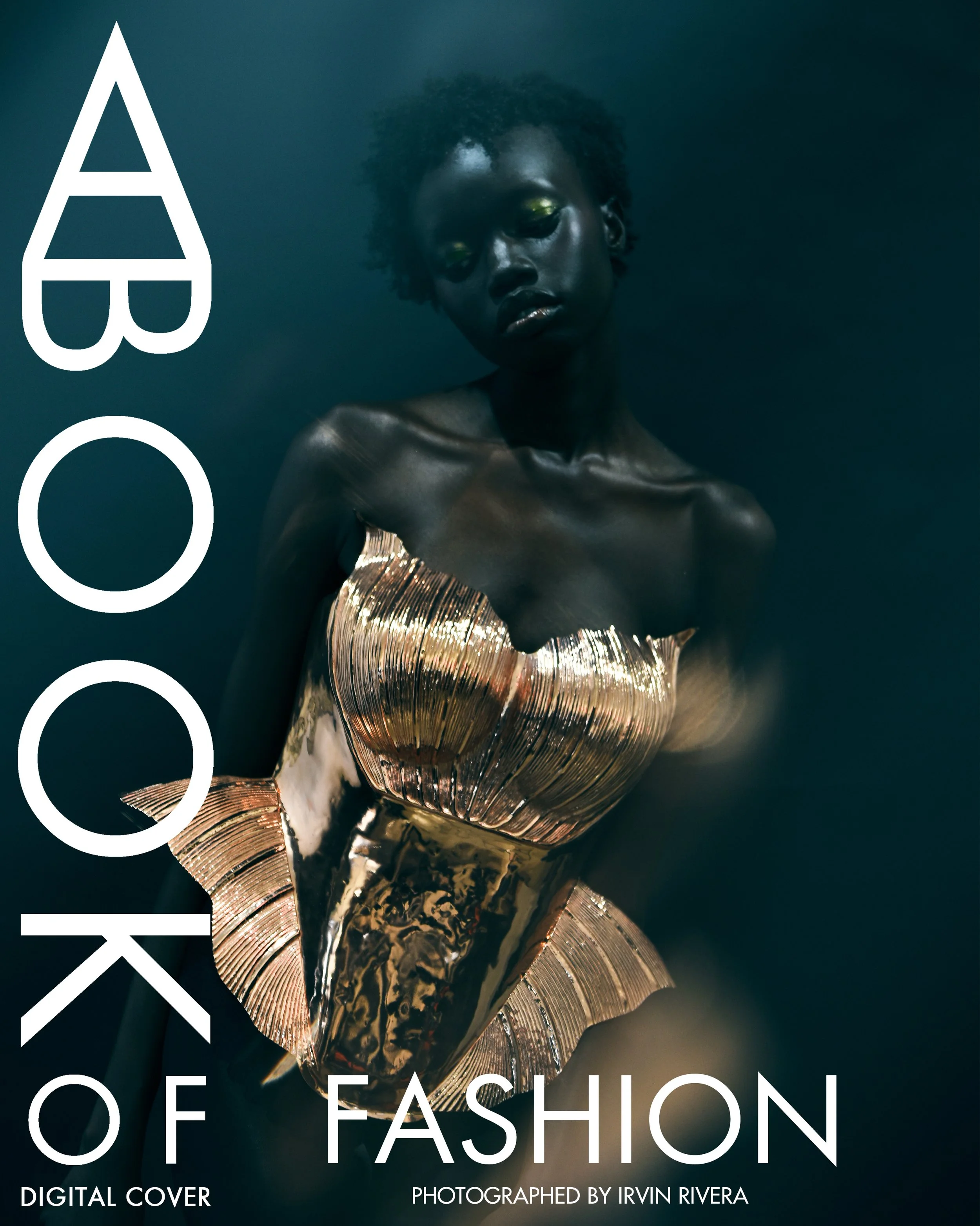 ABOOKOF_FASHION_cover.jpg