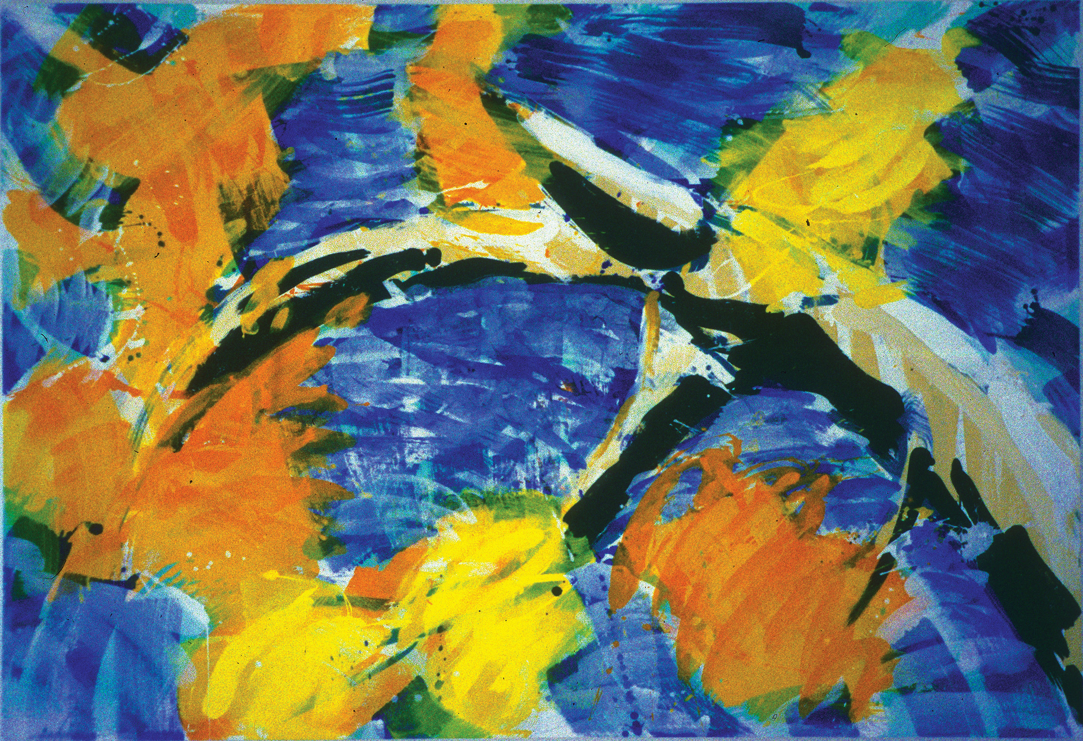 LIMB #10
