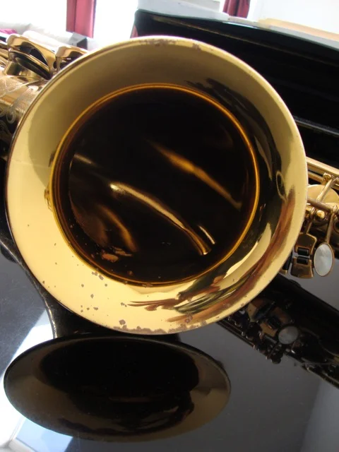 DSC02420.jpg