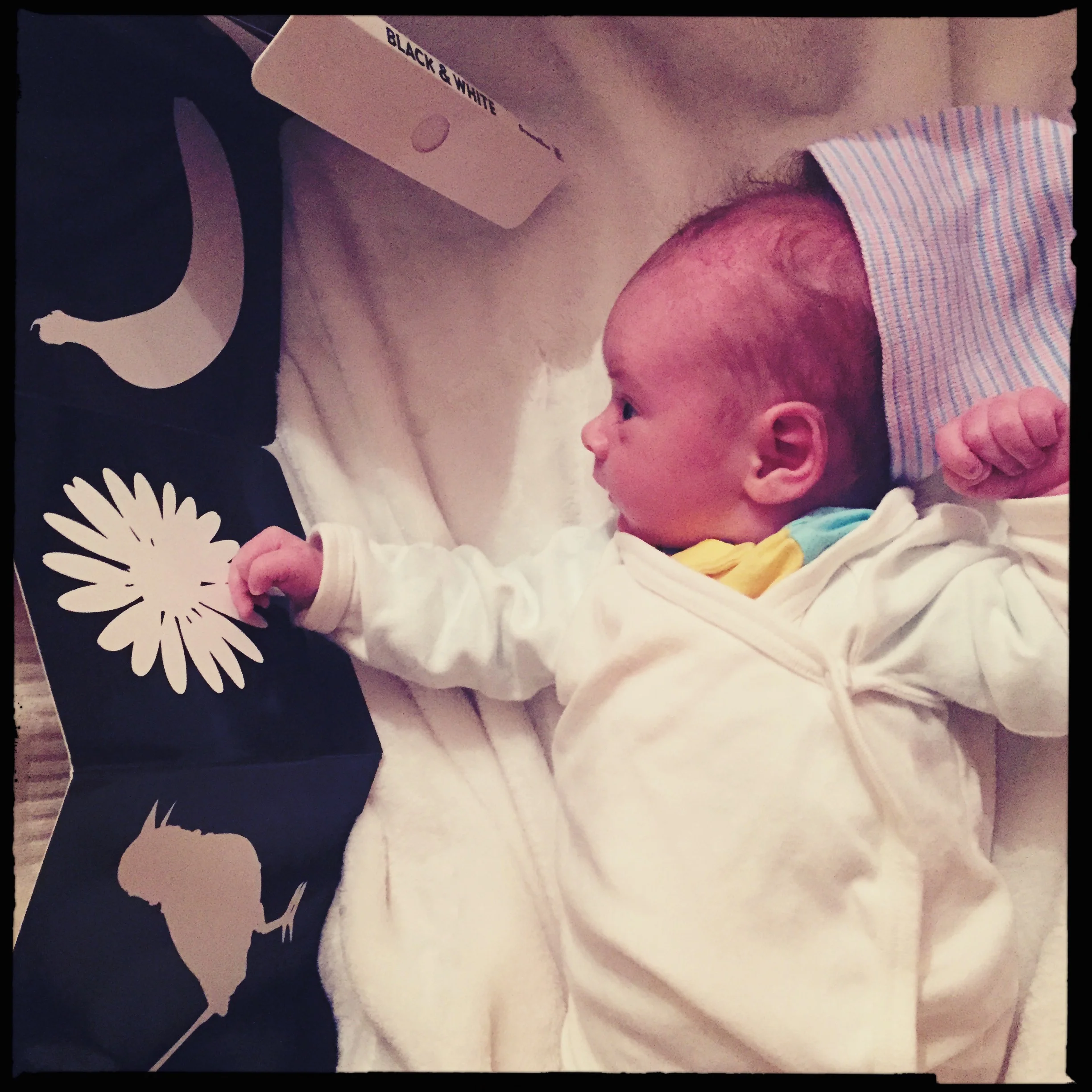 January 13, 2016. First book