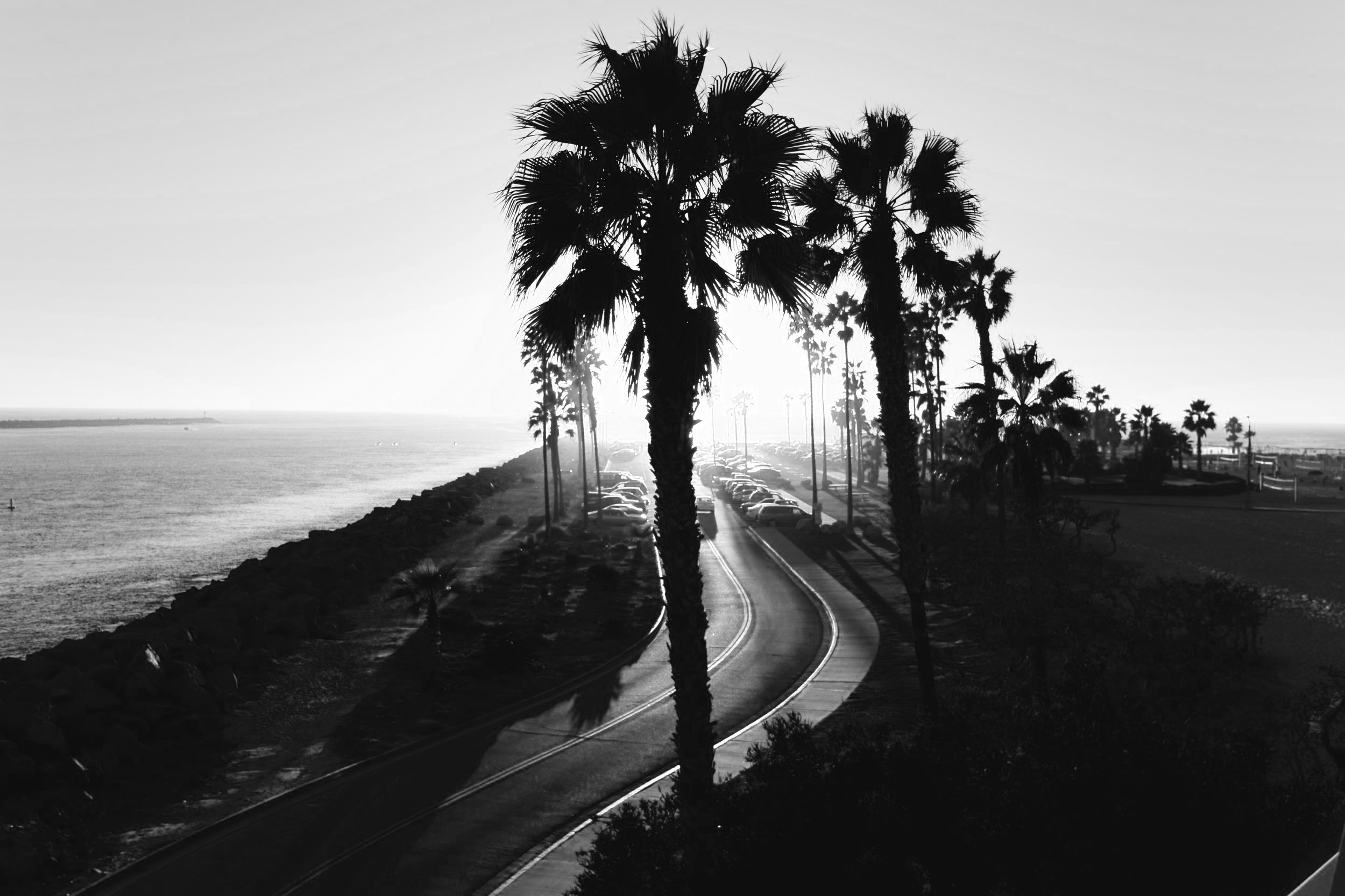 San+Diego+1.jpg
