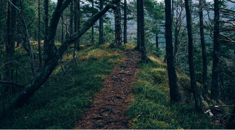 What Would You Do If You Had One Year To Live?