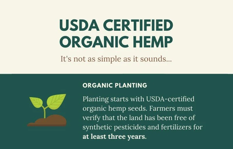 Rainbow Blossom and Cornbread Hemp