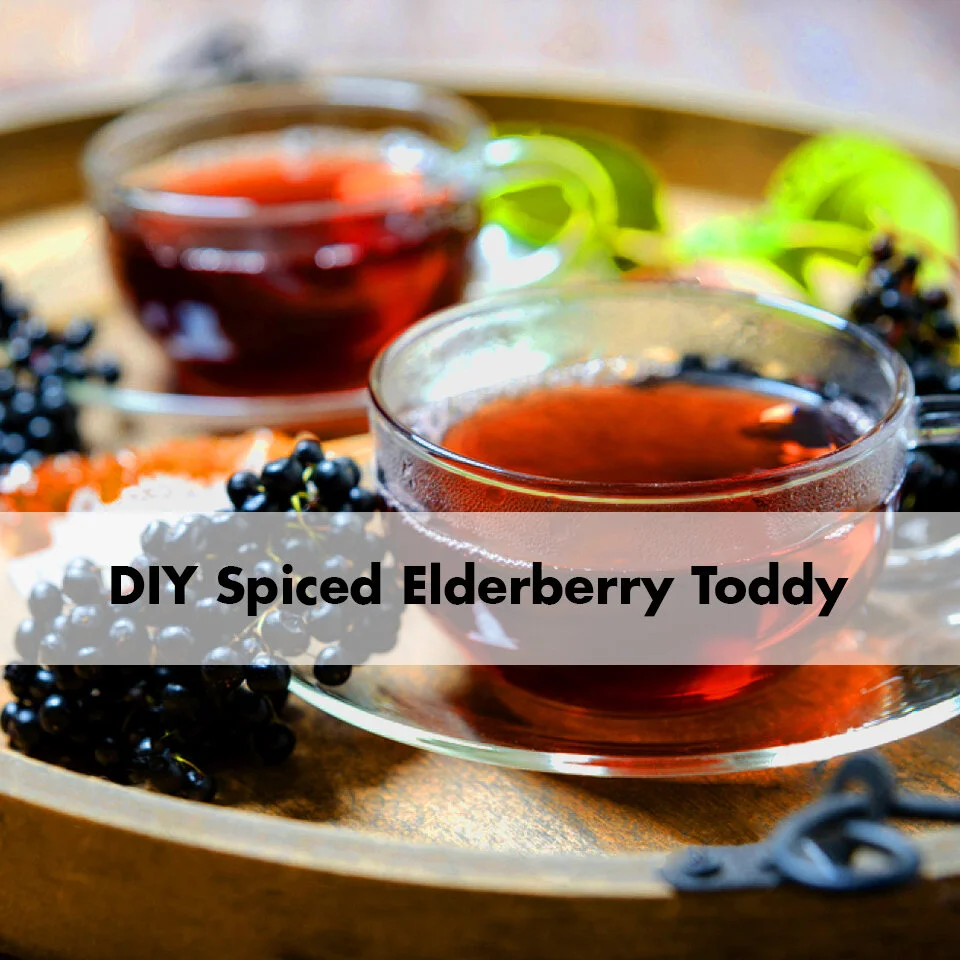 DIY Spiced Elderberry Toddy