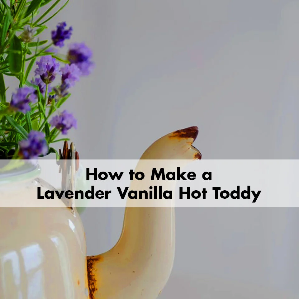 How to Make a Lavender Vanilla Bedtime Hot Toddy
