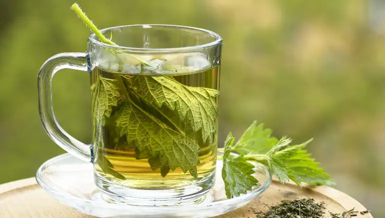 Nettle Tea Recipe