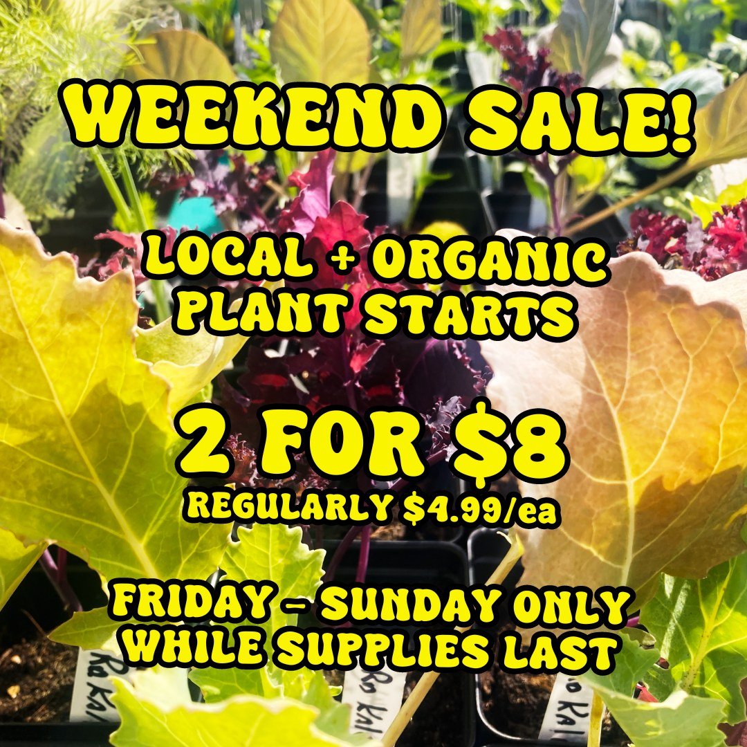 It's the perfect weekend to get your plant starts in, and we have the perfect sale just for you! 

Local organic plant starts from Rolling Fork Farm! 

Broccoli, cabbage, cauliflower, fennel, kohlrabi, tomatoes, peppers, herbs, eggplant and more! Man