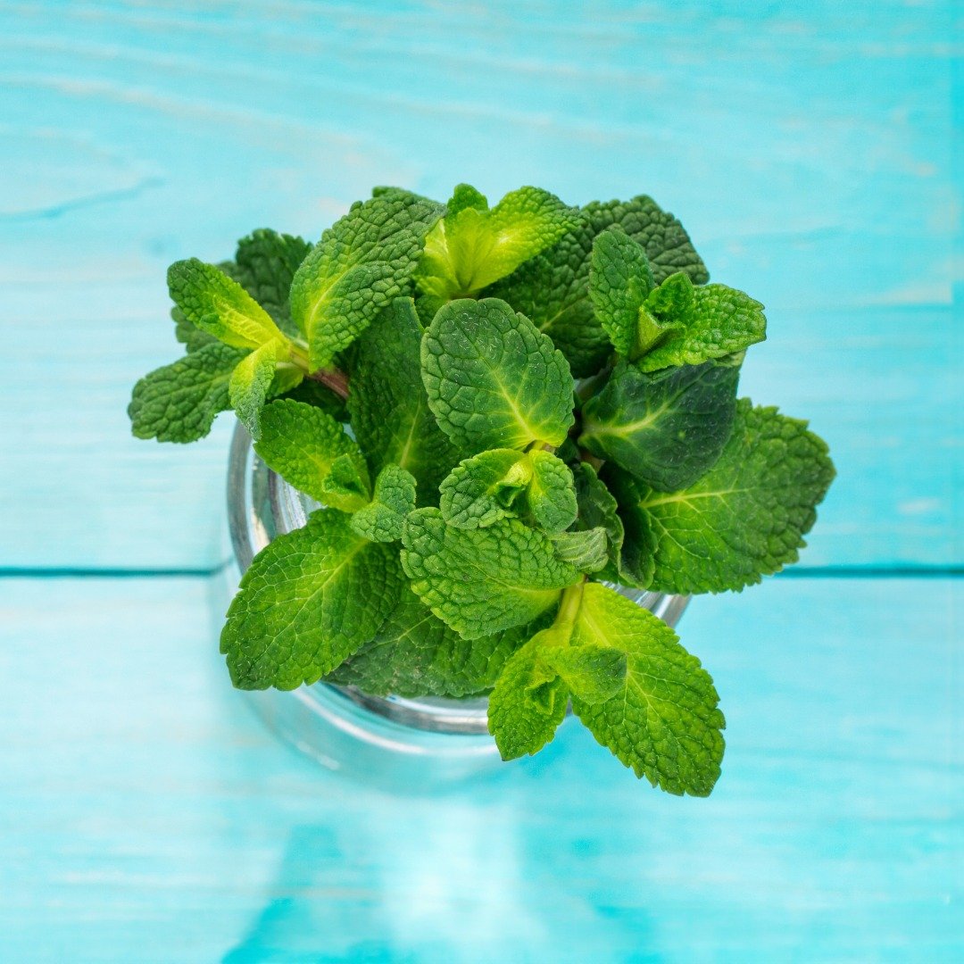 We have local mint from Silver Mist Farms in Fountain Run, Kentucky!

&quot;We are a family owned &amp; operated business with a passion to grow high quality fresh produce year round in a sustainable greenhouse environment, using less energy, land an