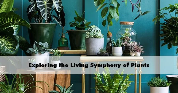 Exploring the Living Symphony of Plants