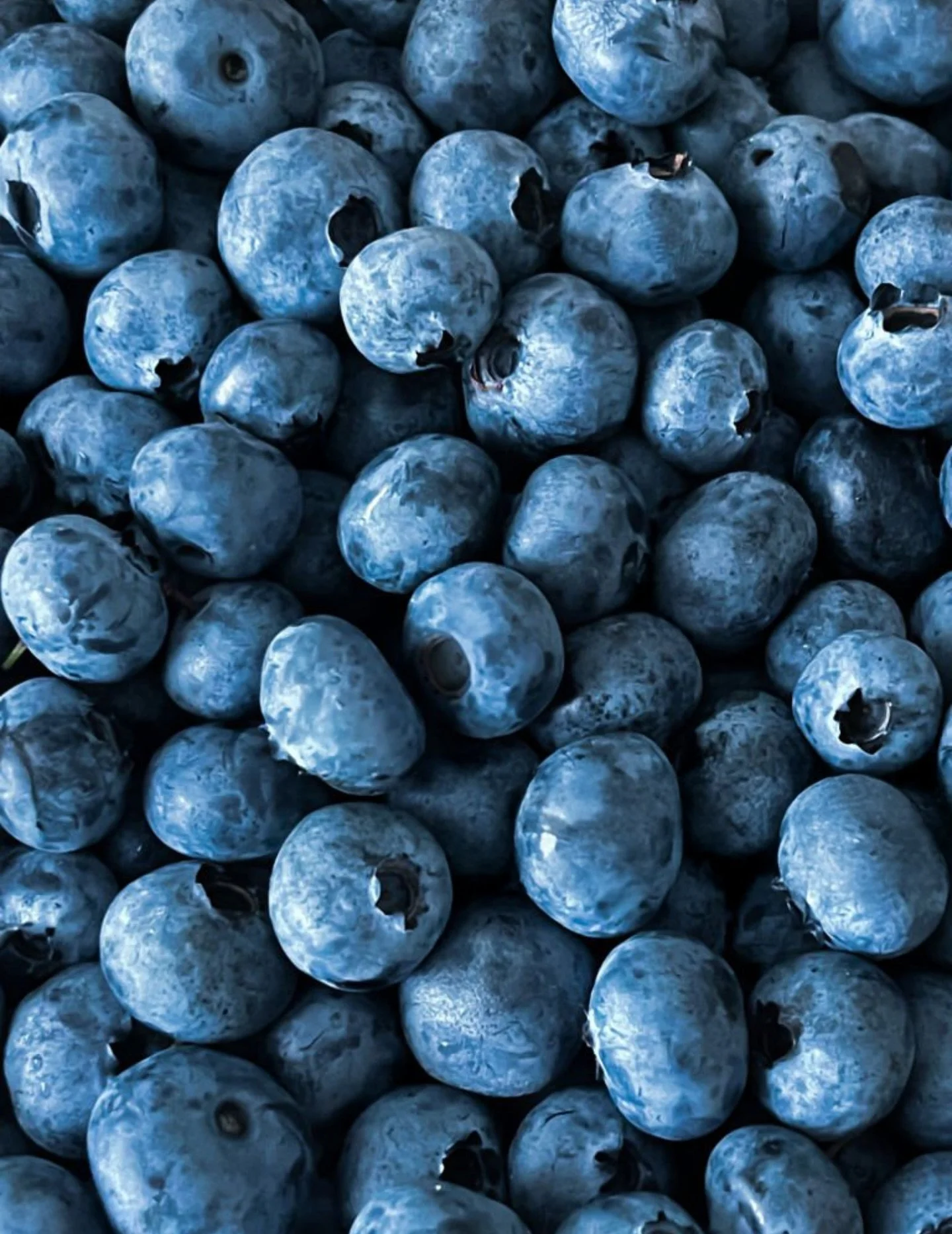 🫐Great deal on organic Blueberries this week!🫐

Also on sale: Grapes, Avocados, and Zucchini!

#organic #producespecials